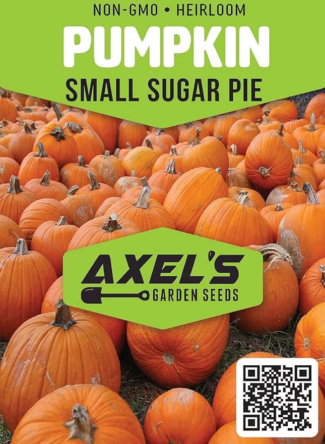 Small Sugar Pumpkin Seeds for Planting - Non-GMO Heirloom Packet with Instructions to Plant a Home Vegetable Garden - Great Gardening Gift - 25 Seeds Per Pack (1 Packet)