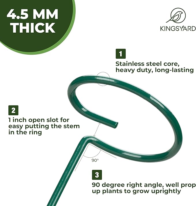 Kingsyard 24 Inch Plant Support Stake - 10 Pack, 4.5mm Thick All Metal Garden Plant Stakes Plant Prop for Single Stem Flowers Dahlia Amaryllis Orchid Lily Rose Peony Tomatoes Gladiolus