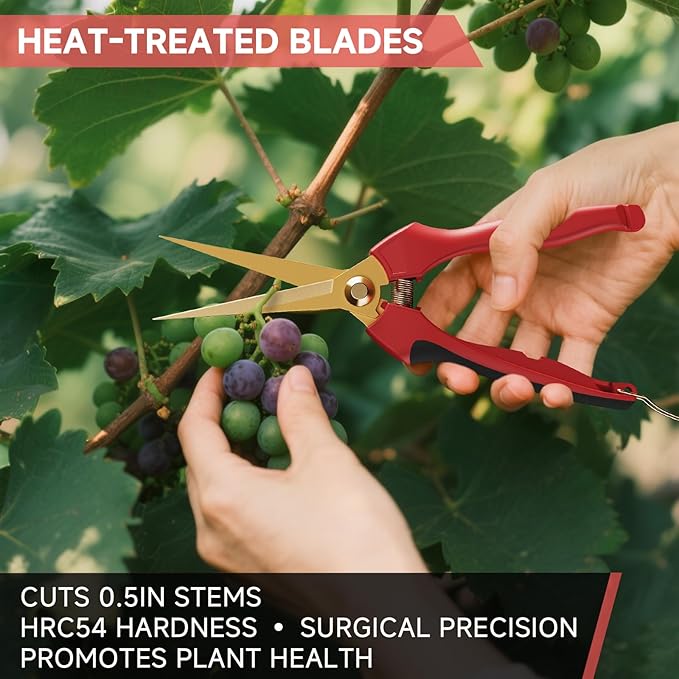 FLORA GUARD Garden shears – 8.2" Straight Tip & 7.2" Curved Blade pruning shears for gardening, Great Christmas Gifts, ideal for Precise Trimming of Flowers, Plants, and Garden Maintenance (2 Pack)