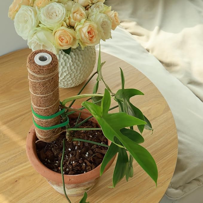 Moss Pole for Plants 4 Pack Natural Coco Coir Climbing Support Stakes with Plant Ties Indoor Monstera Plant Training Extension Poles 7.9inch Each Total 31.6 inch