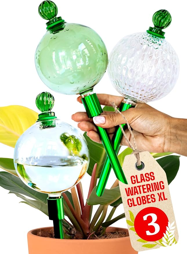 3pcs 16 Oz Plant Watering Globes for Indoor Plants with Metal Self Watering Planter Insert - Premium XL Glass Hand-Blown Globes - Automatic Plant Waterer Indoor, Gift Idea for Gardeners [3 Globes]