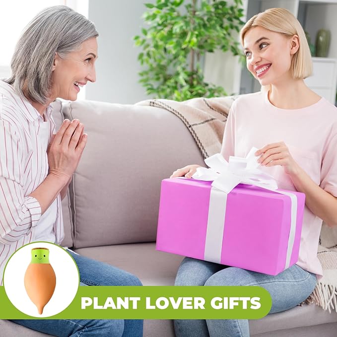 Ollas Plant Watering Globes. 2 Pcs Self Watering Planter Insert. Terracotta Ollas Plant Watering Devices. Ollas Self Watering Globes. Large Olla Watering Pot. Plant Lover Gifts
