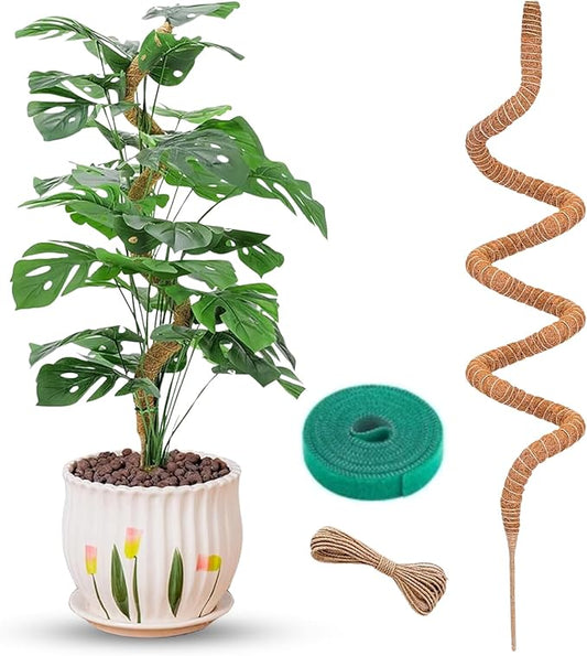 Auraville Moss Pole Monstera Plant Support | 60 Inch Plant Stakes for Indoor Plants | Coconut Palm Fiber Moss Poles for Climbing Plants | Handmade Plant Sticks Support Tall Monstera, Pothos & More