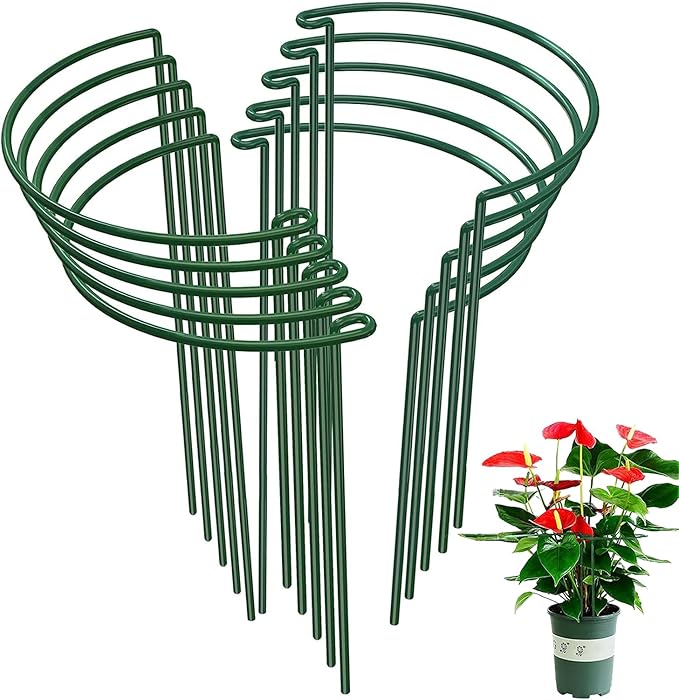 WooWellGoGoGo 10-Pack Half Round Snake Plant Support Stakes, Plant Support Ring for Hydrangea, Peony, Dahlia and More, Rust-Proof Plant Cages for Indoor and Outdoor Potted Plants (14x8Inch)