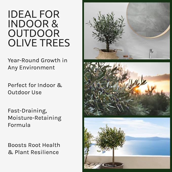 Organic Olive Tree Potting Mix – Fast-Draining, Nutrient-Rich Soil for Indoor & Outdoor Olive Trees – Mediterranean Plant Care – Long-Lasting Formula (5 QUARTS)