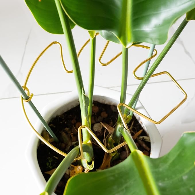 Goooxim Monstera Plant Support Stem Stabilizer 9 * 7.6 inches- Durable Leaf Holder & Adjustable Stake for Fishbone Cactus, Easy to Install Garden Tool for Optimal Growth in Indoor Plants