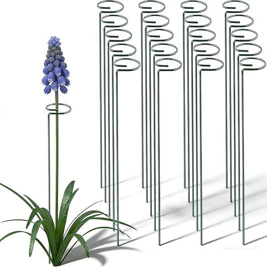20 Pieces 16 inch Green Single Stem Plant Stakes Garden Plant Support Rings Flower Support Hoops Prop for Amaryllis Orchid Lily Rose Peony Gladiolus