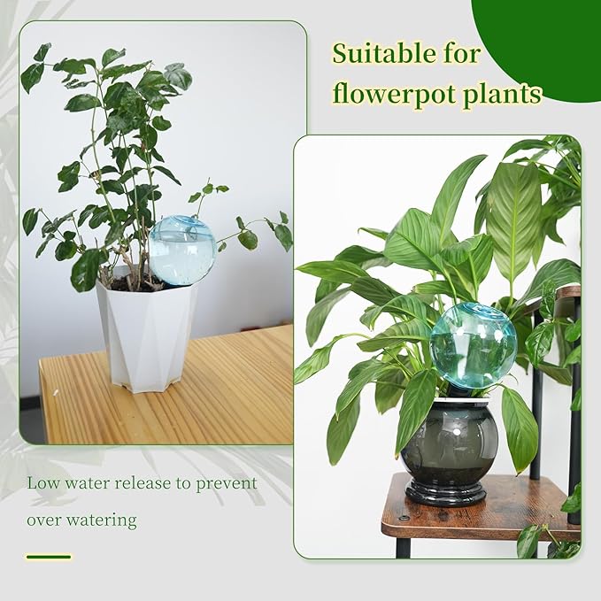 6pcs Large Plant Self Watering Globes, 17.5 oz Plastic Water Bulbs Top Fill, Plant Watering Devices System Slow Release Terracotta, Water Spikes Stakes for Indoor(6pack)