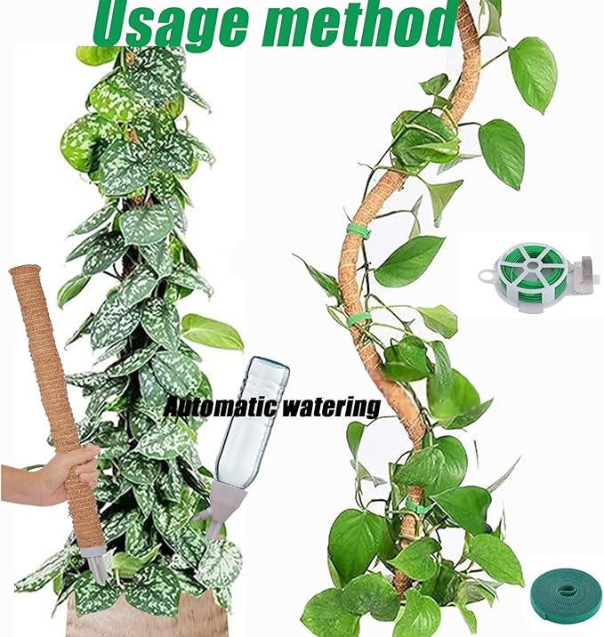 3-Pack Tall Moss Poles (50 Inch) - Coco Coir Plant Support Sticks for Potted Plants (Monstera, Pothos, Philodendron)