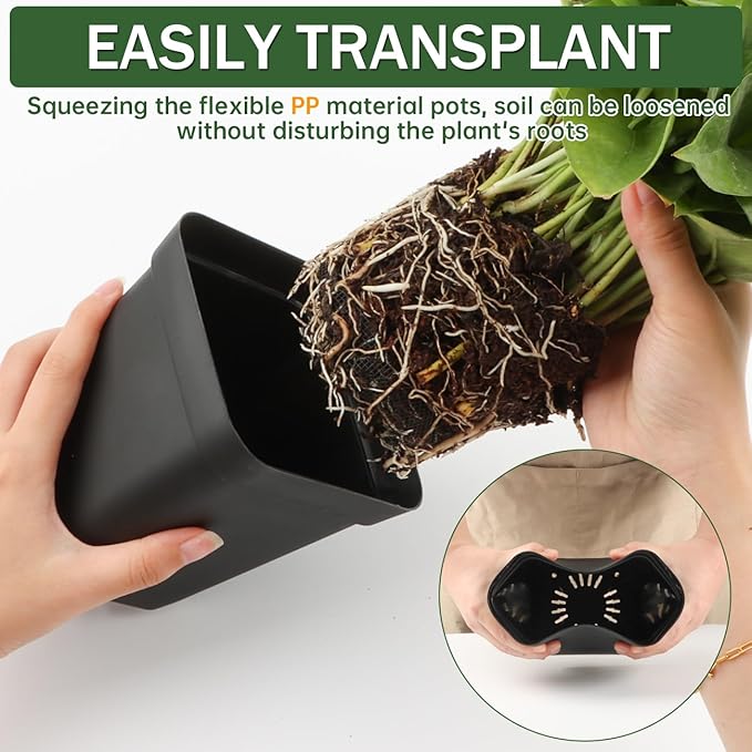 BTPLASTIK Square Nursery Pots 5.5 Inch, 50Pcs Plastic Sturdy Reusable Seedling Pots with Drainage Holes, Garden Flower Planters for Indoor/Outdoor, Transplanting, Succulents, Cuttings, Black