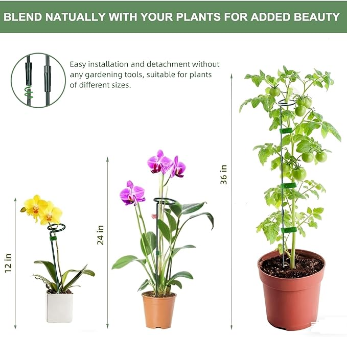 2 Pack Plant Support Sticks, 3 Sizes (12 or 24 or 36 inch) Garden Plant Stake, Plant Support Rings for Indoor Outdoor with Plants Ties, Plants Stakes for Flowers, Climbing Plants, Tomatoes