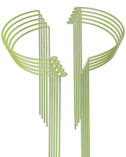 10-Pack Plant Support Stakes, Heavy Duty Steel Plant Stakes as Monstera Plant Support & Peony Cages, Metal Garden Stakes for Indoor Outdoor Plants, Snake Plant & Vine Support, 10" W x 15.8" H