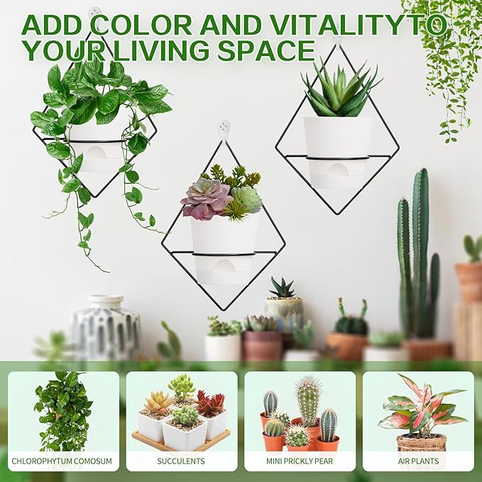 3 Sets Wall Planters for Indoor Plants Geometric Hanging Planters for Indoor Plants - Self-Watering Flower Pots with Black Metal Holder, Mounted Succulent Planter, 5" Black Plant Pot