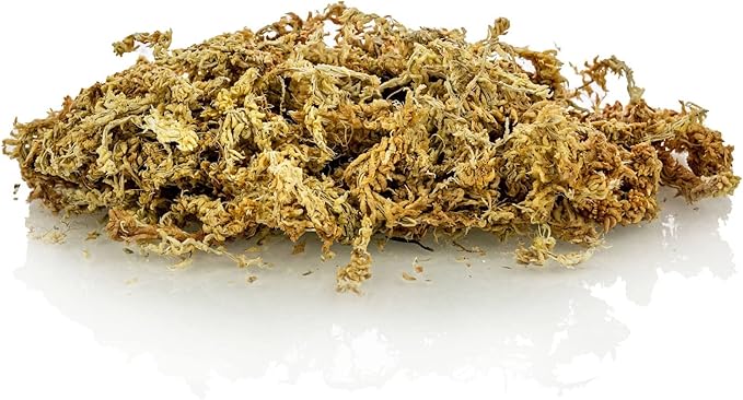 Premium New Zealand Sphagnum Moss by Gardenera - Organic Hand Mixed Long Fibered Sphagnum Moss Orchid - 3 Quart