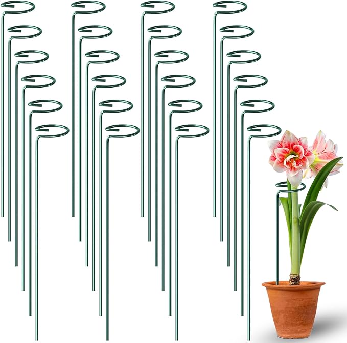 24 Pack Plant Support Stakes, 16 Inch Metal Garden Plant Stakes Single Stem Support Rings for Indoor Outdoor Amaryllis, Flowers Orchid, Lily, Peony, Rose, Tomato, Monstera, Narcissus