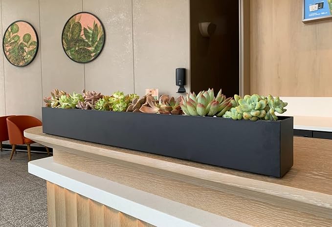 Rectangle Succulent Planter Box - 32" Window Sill Planters - Decorative Indoor/Outdoor Table or Window Boxes Planter - Windowsill Herb (1pc Black)