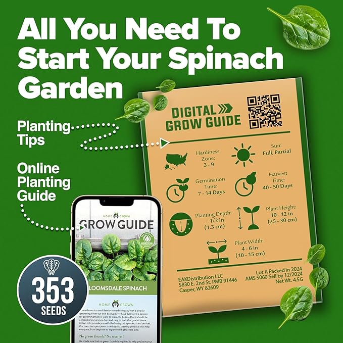 HOME GROWN Non GMO Bloomsdale Spinach Seeds Pack 353 Heirloom Seeds High Germination Spinach for Indoor, Outdoor, Hydroponic Planting & Home Gardens (Spinacia oleracea)
