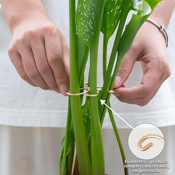 Goooxim 5Pcs Monstera Plant Stem Support Hook (2.75x2.75 inches) - Durable Metal Stem Support for Monstera & Fishbone Cactus, Easy Installation, Ideal Gift for Plant Lovers & Home Decor
