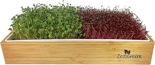 ZESTIGREENS Self Watering Microgreens Growing Kit. Hands Down The Easiest Way to Grow Microgreens. Includes Tray, Seeds, Mats, and Bamboo Surround. Great Gift for Gardeners
