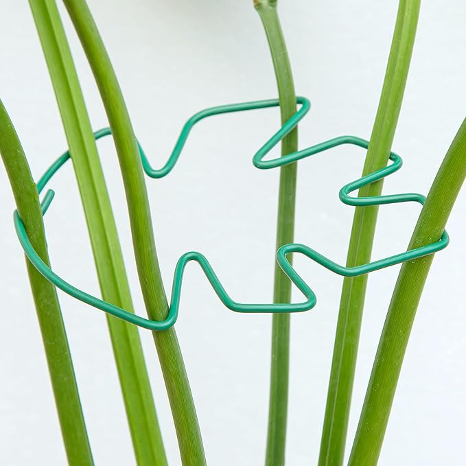 Monstera Plant Stem Support, 5-Pack Durable Indoor Stabilizer for Climbing Plants, 5.5x4.7 Inches Leaf Holder, for Plant Lovers, Enhance Your Indoor Garden