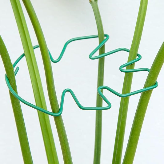 Monstera Plant Stem Support, 5-Pack Durable Indoor Stabilizer for Climbing Plants, 5.5x4.7 Inches Leaf Holder, for Plant Lovers, Enhance Your Indoor Garden