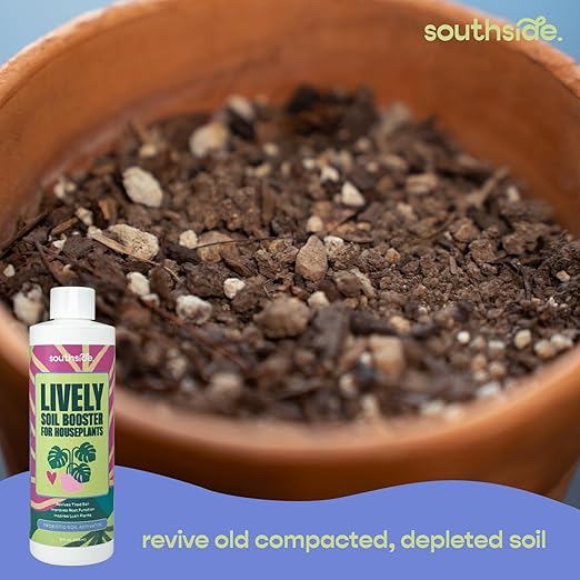 Southside Plants Lively - Premium Soil Conditioner and Booster for Houseplants – Beneficial Bacillus Blend for Fertile Soil, Better Drainage & Moisture Balance – Safe for All Houseplants
