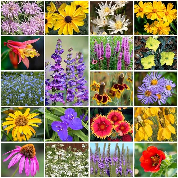 Park Seed Grow Your Own Vibrant Perennial Wildflower Garden Seeds Mixture, Easy to Grow Varieties for Pollinators and Spring Gardens - Native Perennial Mix, 50 lbs