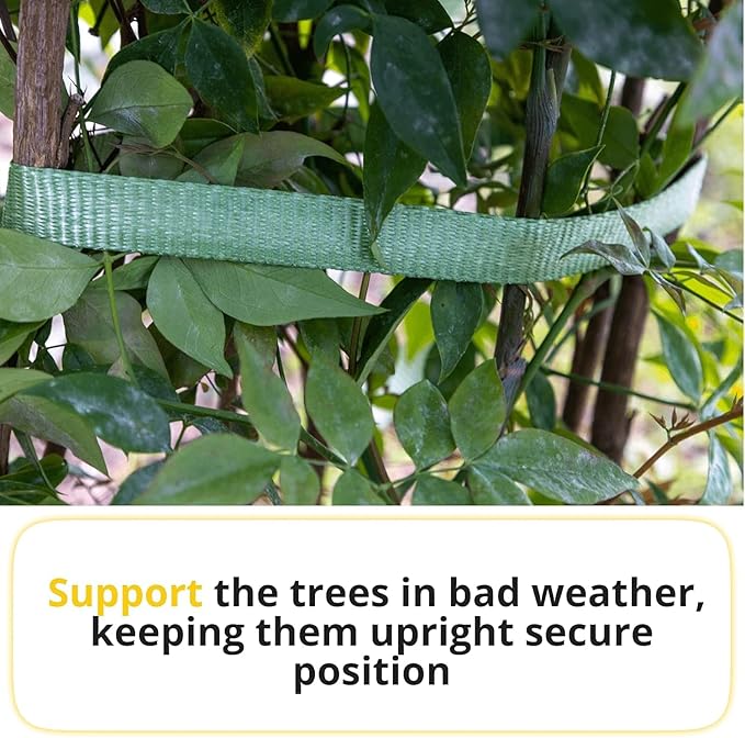 Green Tree Tie Webbing Strap 3/4" x 250' - Heavy Duty Tree Straps for Staking, Guying, Securing & Outdoor Use - Garden Ties Webbing Flat Rope for Heavy Plants & Trees Support by IDL Packaging
