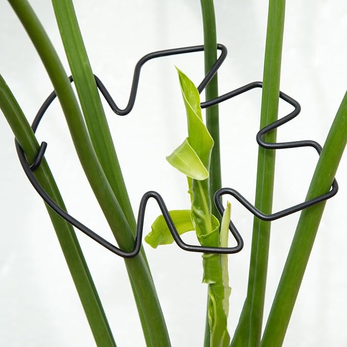 Monstera Plant Stem Support Set of 5 - Durable Stabilizers for Monstera and Climbing Plants - Ideal for Plant Lovers and Garden Care