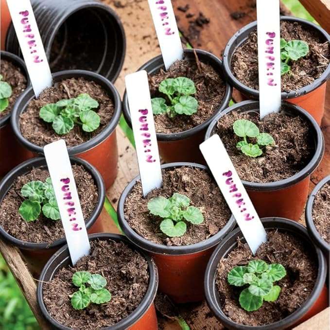 TDHDIKE 4" Small Plastic Plant Nursery Pot/Pots (100pcs) Seedlings Flower Plant Container Seed Starting Pots , Come with 100pcs Plant Labels