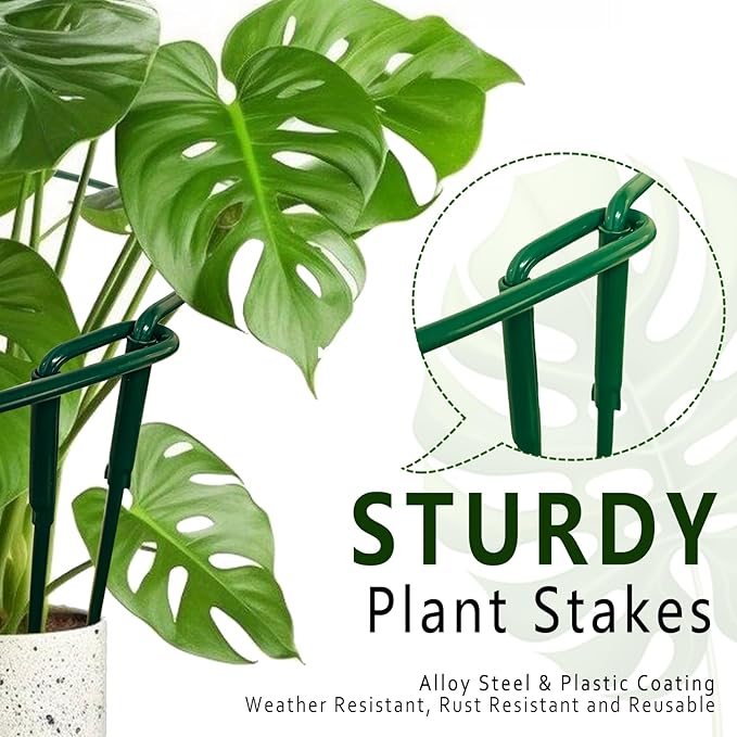 Soupiar 6 Pack Detachable & Assemblable Metal Plant Support Stakes - Garden Support Ring, Tomato Seedling Cage, Young Monstera/Pothos for Growing Indoor/Outdoor (10" W x 16" H)