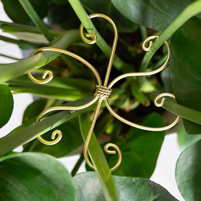 Goooxim 5PCS Monstera Plant Stem Support Hook - 6.5 * 6.5IN Durable Metal Stem Stabilizer for Monstera Plants and Fishbone Cactus - Gentle Protection Leaf Holder - Easy Installation - 5 Piece Set