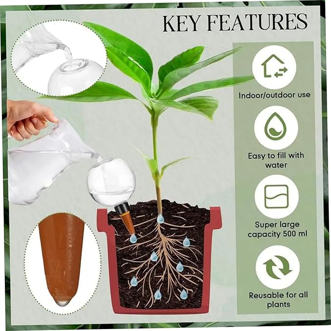 6Pcs Self Watering Globes Automatic Plant Waterer with Transparent Bulbs Plant Watering Device for Indoor Outdoor Potted Plants