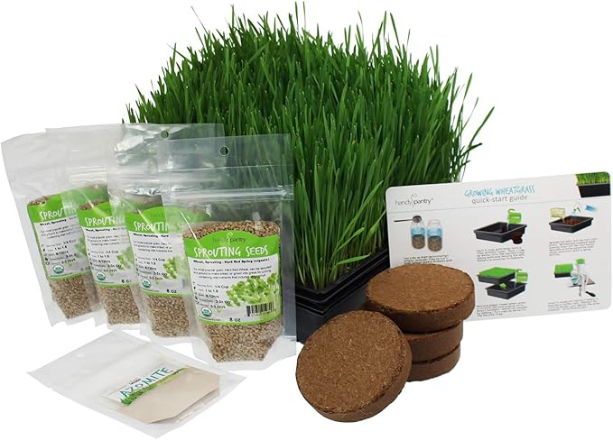 Organic Wheatgrass Growing Starter Kit - Grow & Juice Wheat Grass - Includes Non-GMO, Organic Wheatgrass Seeds - for Healthy Wheatgrass Shots, Home, Garden, and Cat Grass
