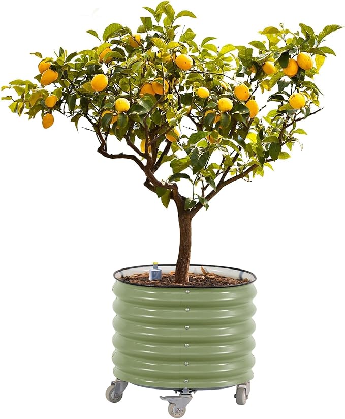 Rolling Metal Citrus Tree Planter, Self-Watering Round Large Pot for Growing Trees Tomatoes Vegetables and Flowers, Raised Garden Bed with Wheels for Porch Patio & Backyard, Single Pack-Olive Green