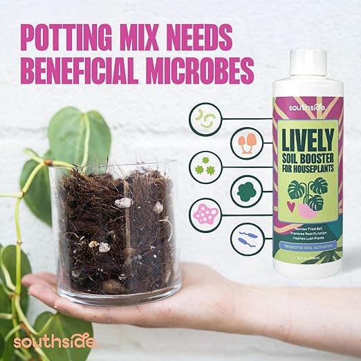 Southside Plants Lively - Premium Soil Conditioner and Booster for Houseplants – Beneficial Bacillus Blend for Fertile Soil, Better Drainage & Moisture Balance – Safe for All Houseplants