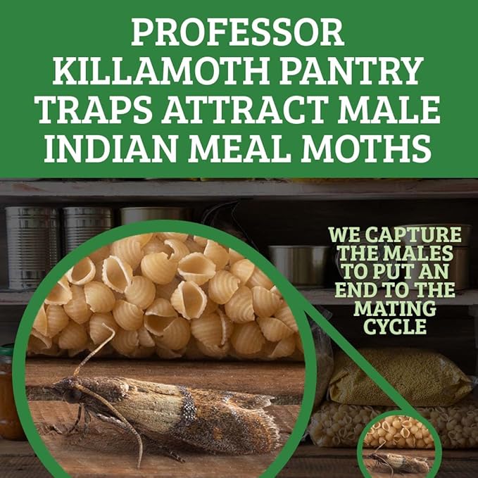 Professor Killamoth Triple-Strength Pantry Moth Traps 6 Pack – Safe Pheromone Moth Traps for House & Kitchen – Non-Toxic Pantry Pest Solution for Indian Meal Moths