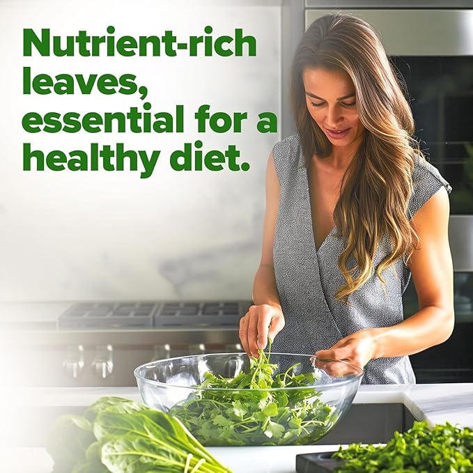 HOME GROWN Non GMO Bloomsdale Spinach Seeds Pack 353 Heirloom Seeds High Germination Spinach for Indoor, Outdoor, Hydroponic Planting & Home Gardens (Spinacia oleracea)