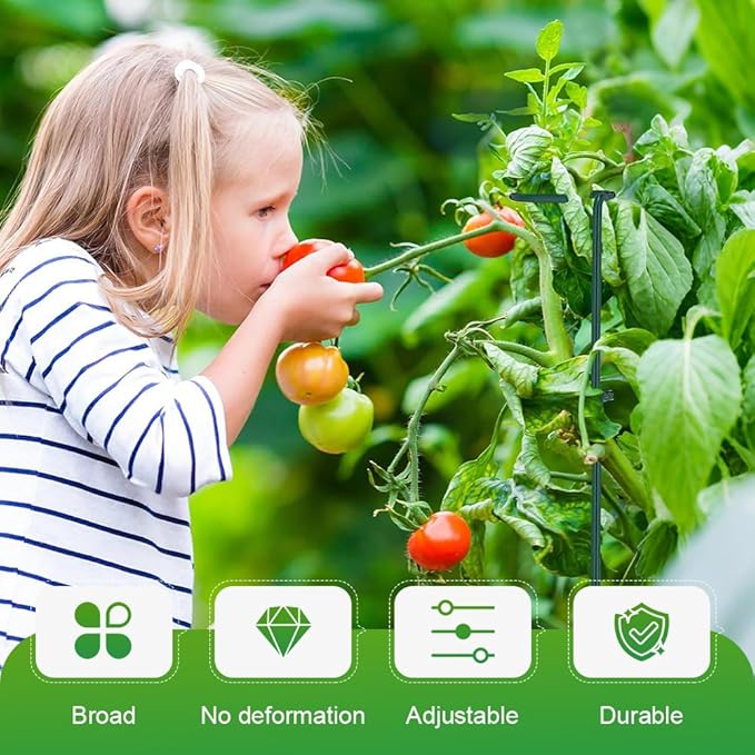 4/8/12 Pack Plant Stakes, 16/24/36 Inch Plant Support Stakes, 2025 New Plant Sticks Support, Flower Stakes for Plants Peony, Tomato Seedling, Marigold, Amaryllis, Sapling, Coreopsis (24 Inch-12 Pack)