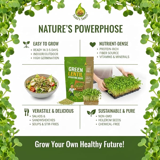 Todd's Seeds Sprouting Green Lentil Seeds, Heirloom, Non-GMO, Chemical Free, High Germinating (Quarter Pound)