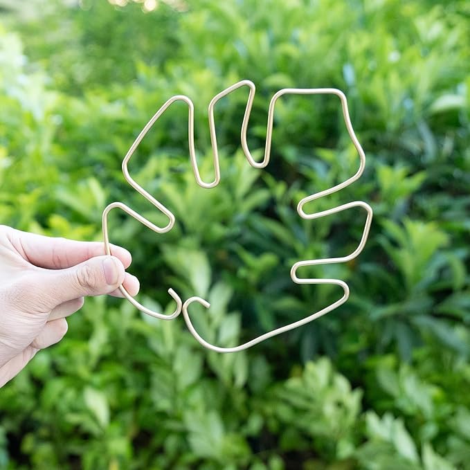 GOOOXIM 5PCS Plant Stem Support - Durable Monstera Stabilizer Grapple Holder, Unique Design for Climbing Plants, Turtle Shell Bamboo Clamp Set, Ideal Plant Support for Thriving Growth (Gold)