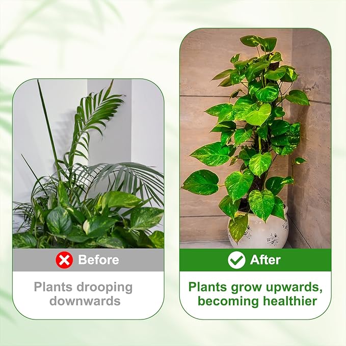 uxcell Plant Support Stakes Set, 6 Pcs Twig Plant Stem Support Structures 27.5" Plants Branches Supports with Extension Poles, Orchid Clips, Plants Tie for House Potted Monstera, Green