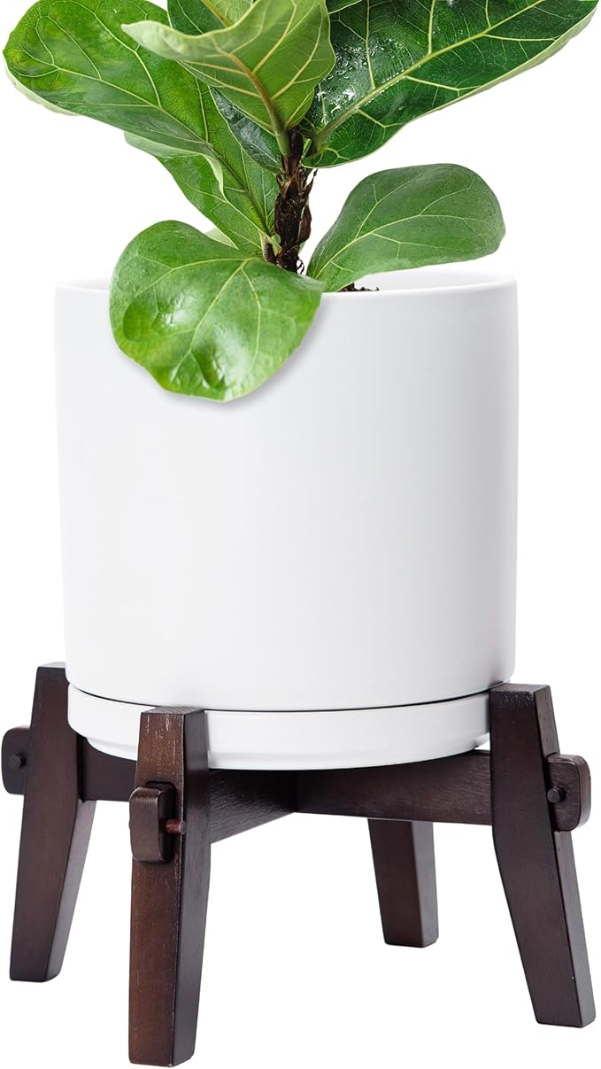 D'vine Dev Ceramic Planter with Wood Stand - 10 Inch Mid Century Modern Cylinder Indoor Plant Pot Set for Indoor Plants & Flowers, White, 55-A-X-1