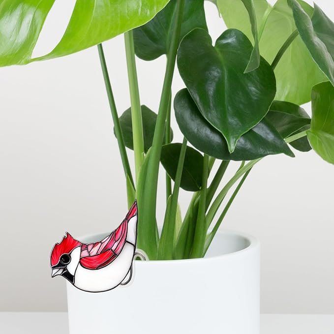 Hanging Planters for Indoor Outdoor Plants – Hummingbird Design Hanging Plant Pots, Rustic Farmhouse Garden Decor for Porch Balcony Yard, Decorative Flower Baskets & Unique Gifts for Mom (5)