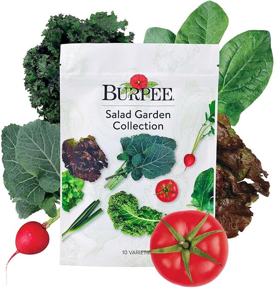 Burpee Salad Garden Collection 10 Packets of Non-GMO 4 Lettuce Varieties Tomato, Radish, Spinach, Kale, Scallions & Mesclun Mix | Seeds for Planting Vegetables