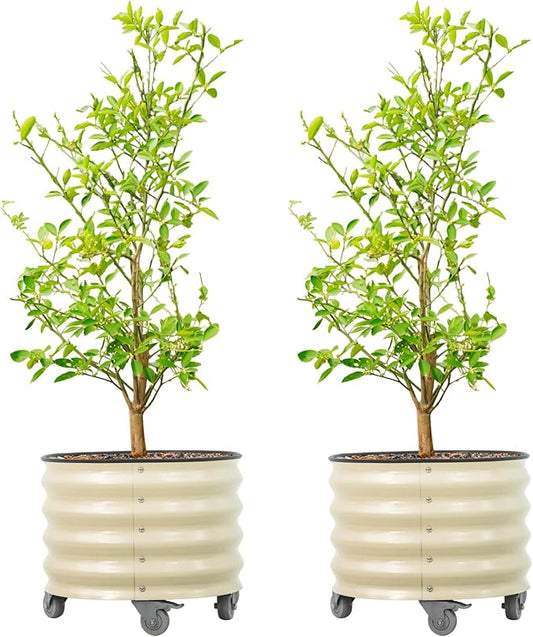 Rolling Metal Citrus Tree Planter Pot, 21″ Round Planter Box for Porch Patio & Backyard, 20 Gallon Large Planter Pot with Wheels for Growing Trees Tomatoes Vegetables and Flowers, 2 Pack Pearl White