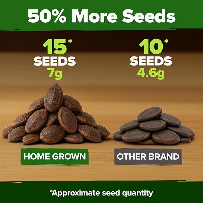 HOME GROWN Non GMO Organic Watermelon Vegetable Seeds (Crimson Sweet) 15 Non-GMO, Heirloom Water Melon (7g) for Planting in Home Gardens or Beds Outdoors Citrullus lanatus