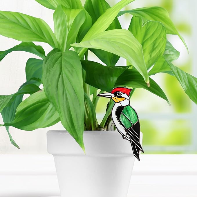 Hanging Planters for Indoor Outdoor Plants – Hummingbird Design Hanging Plant Pots, Rustic Farmhouse Garden Decor for Porch Balcony Yard, Decorative Flower Baskets & Unique Gifts for Mom (9)