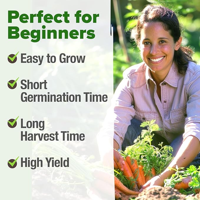 HOME GROWN Tendersweet Carrots Seeds 1 Pack - 3000 Non-GMO Heirloom Carrot Seeds for Planting Outdoors (Daucus carota subsp. sativus)