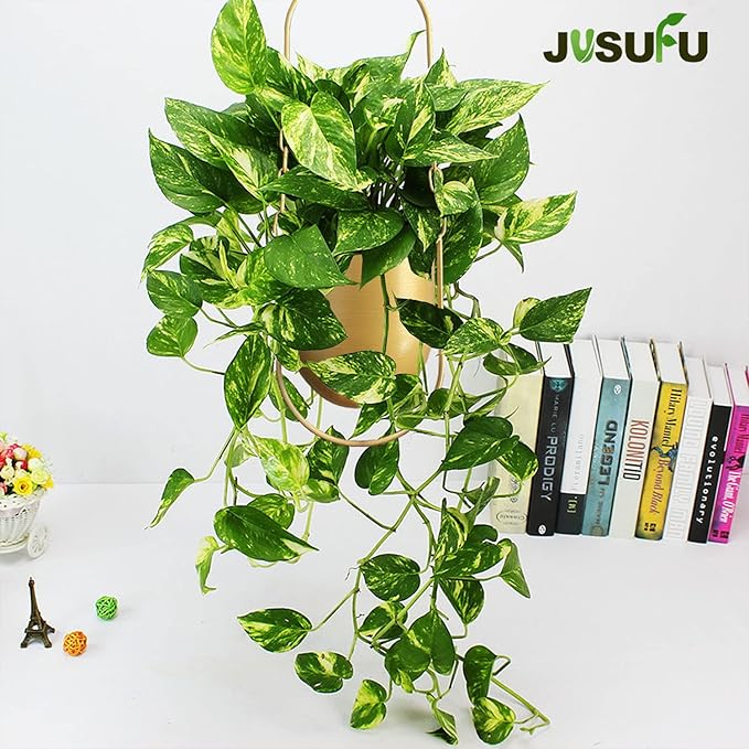 Metal Hanging Planters for Indoor & Outdoor, No Plant Included(Gold)